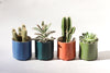 Give Take Planter - Kelp