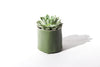 Give Take Planter - Kelp