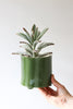 Give Take Planter - Kelp