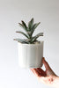 Give Take Planter - Fog