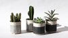Herringbone Planter - White