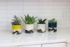 Splatter Planter - Deep Ocean