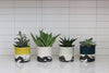 Splatter Planter - Seafoam