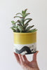 Splatter Planter - Daybreak