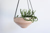 Pinched Hanging Planter - Summer Sweet
