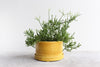 Round Pinched Planter with Plate - Daybreak