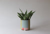 Footed Abstract Planter - Spring - Option B