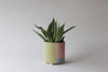 Abstract Footed Planter - Spring - Option B