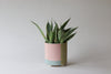 Footed Abstract Planter - Spring - Option B