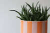 Footed Striped Planter - Tangerine and Rose