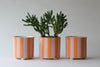 Footed Striped Planter - Tangerine and Rose