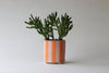 Footed Striped Planter - Tangerine and Rose