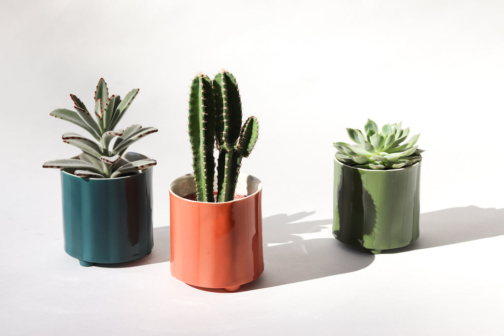 Give Take Planter
