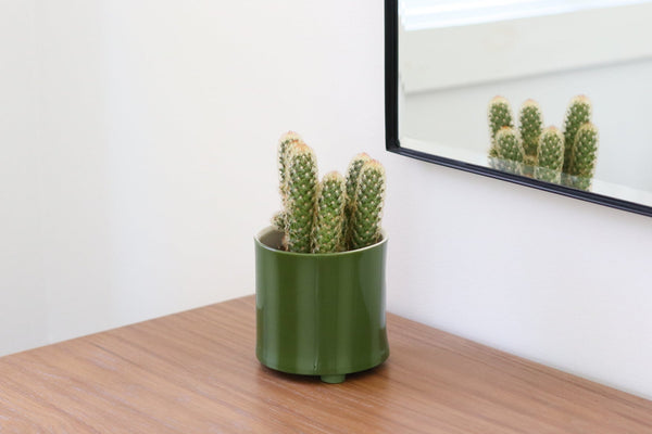 Give Take Planter - Kelp