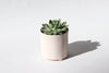 Give Take Planter