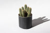 Striped Footed Planter - Black