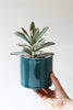 Give Take Planter