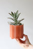 Give Take Planter