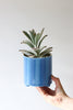 Give Take Planter