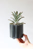 Give Take Planter - Black