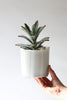 Give Take Planter