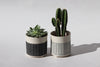 Herringbone Planter