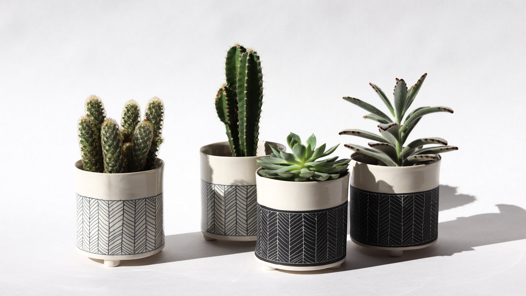 Herringbone Planter