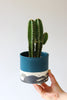 Splatter Planter