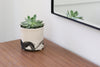 Splatter Planter