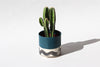 Splatter Planter