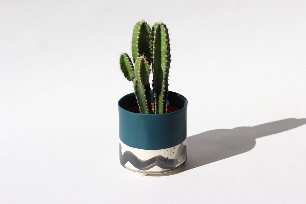 Splatter Planter