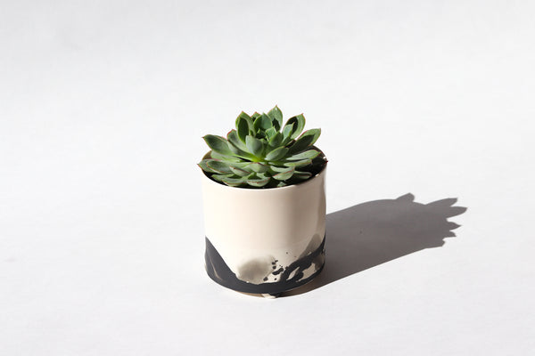 Splatter Planter
