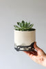 Splatter Planter