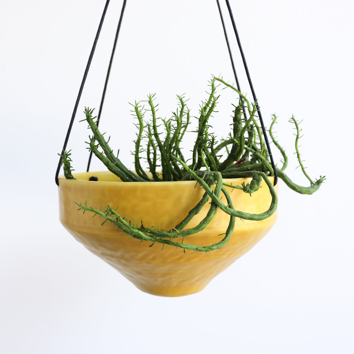Hanging Planters Elizabeth Benotti Ceramics