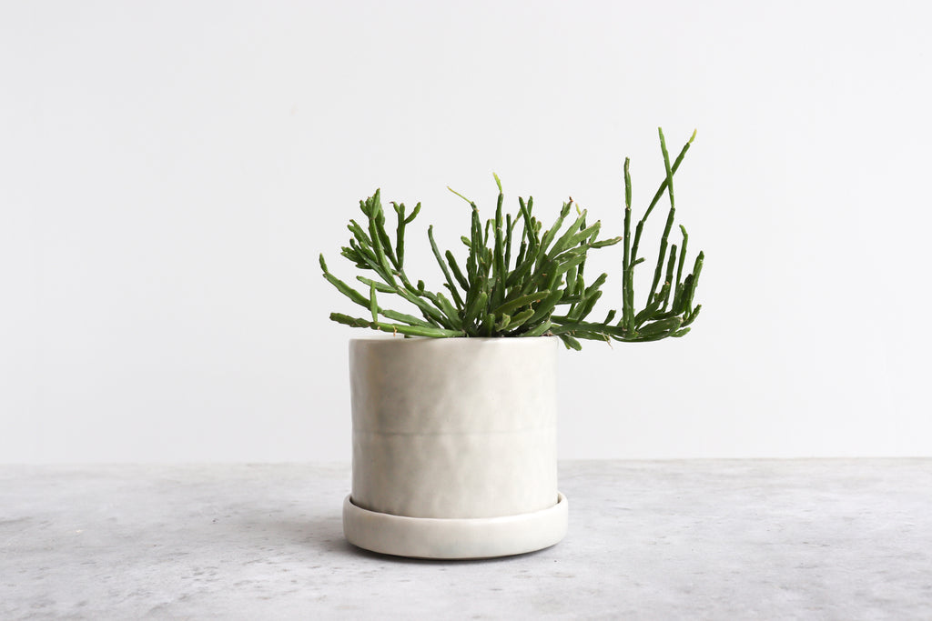 Round Pinched Planter with Plate - Seafoam