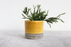 Pinched Planter with Stripes - Daybreak