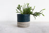 Pinched Planter with Stripes - Deep Ocean