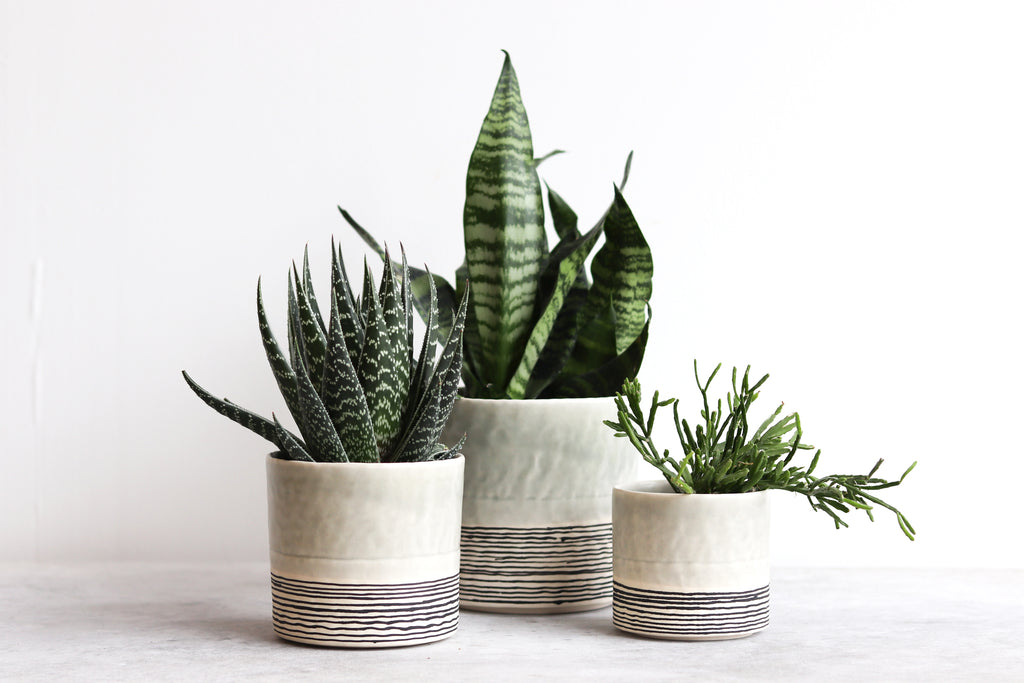 Pinched Planter with Stripes - Seafoam