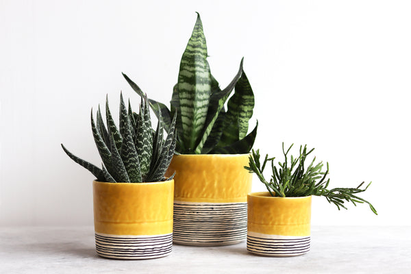 Pinched Planter with Stripes - Daybreak