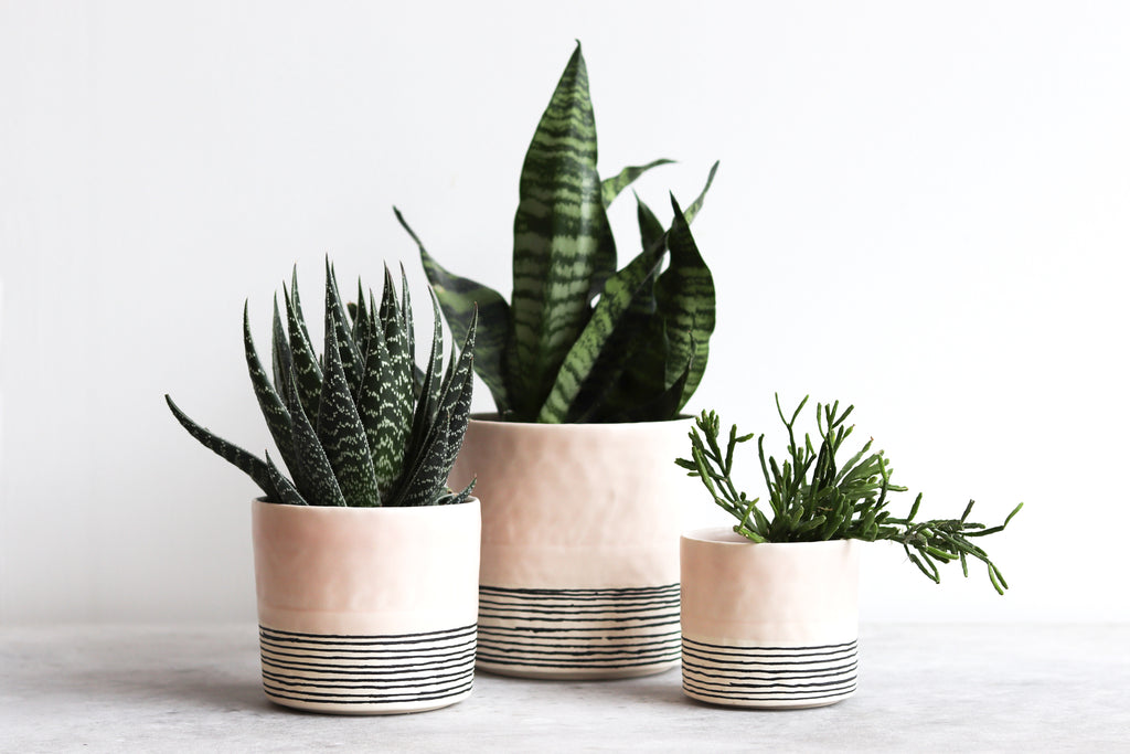Pinched Planter with Stripes - Summer Sweet
